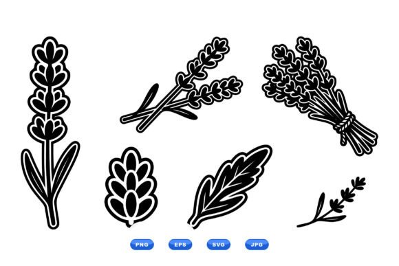 Lavender Botanical SVG Clipart for Graphics & Illustrations