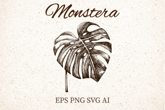 Monstera Leaf Clipart: Graphics for Botanical Branding